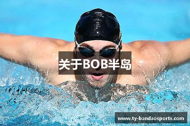 关于BOB半岛